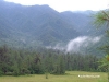 picoduarte - 66